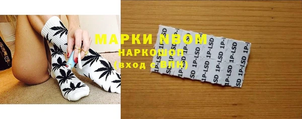 хмурый Аркадак