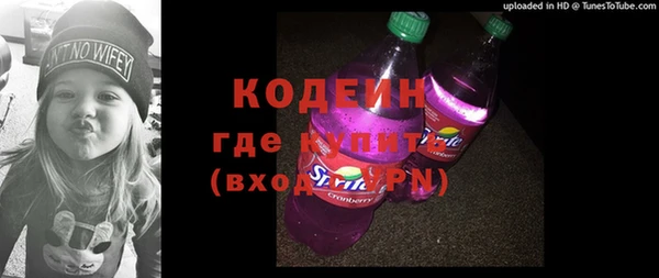 хмурый Аркадак