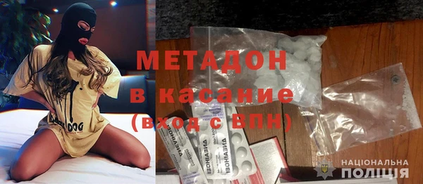 хмурый Аркадак