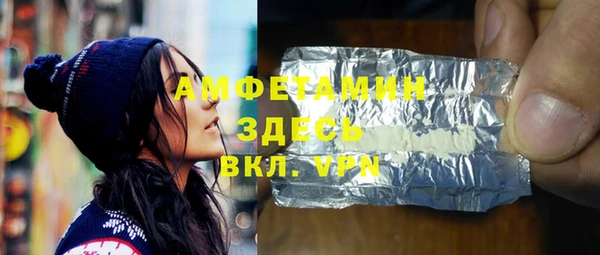 хмурый Аркадак