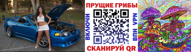 Галлюциногенные грибы мицелий  Таруса 